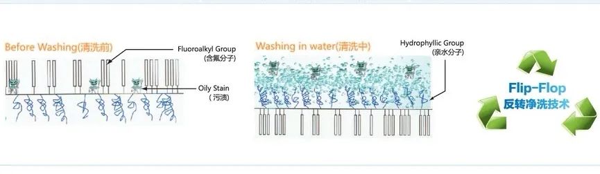 16473078151151058E51.jpg 2.jpg