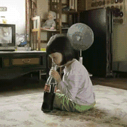 16473122688472957FA5.gif 95.gif