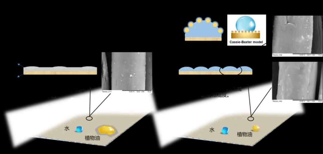 1738719022770801Oa6c.jpg 年度盘点8.jpg