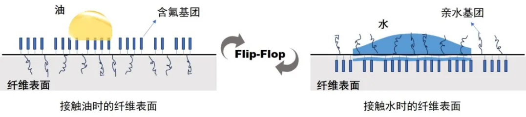 1738719213671947qZWe.jpg 年度盘点12.jpg